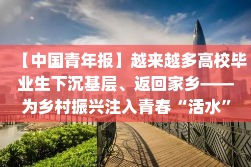 【中國青年報(bào)】越來越多高校畢業(yè)生下沉基層、返回家鄉(xiāng)——為鄉(xiāng)村振興注入青春“活水”