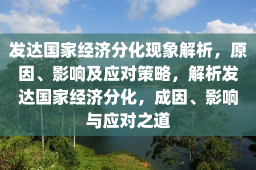 發(fā)達(dá)國(guó)家經(jīng)濟(jì)分化現(xiàn)象解析，原因、影響及應(yīng)對(duì)策略，解析發(fā)達(dá)國(guó)家經(jīng)濟(jì)分化，成因、影響與應(yīng)對(duì)之道