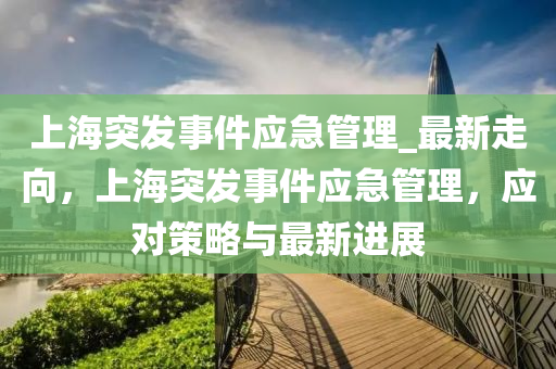 上海突發(fā)事件應急管理_最新走向，上海突發(fā)事件應急管理，應對策略與最新進展