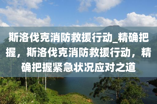 斯洛伐克消防救援行動_精確把握，斯洛伐克消防救援行動，精確把握緊急狀況應對之道