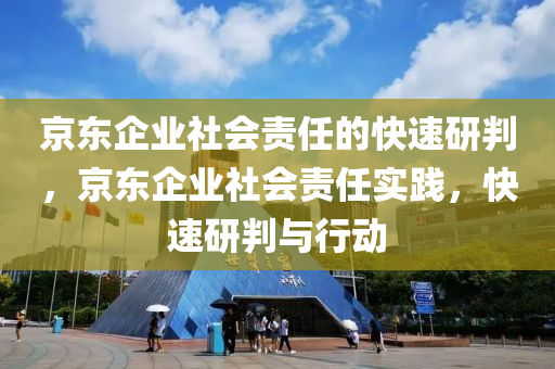 京東企業(yè)社會責任的快速研判，京東企業(yè)社會責任實踐，快速研判與行動