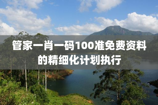 管家一肖一碼100準(zhǔn)免費資料的精細(xì)化計劃執(zhí)行