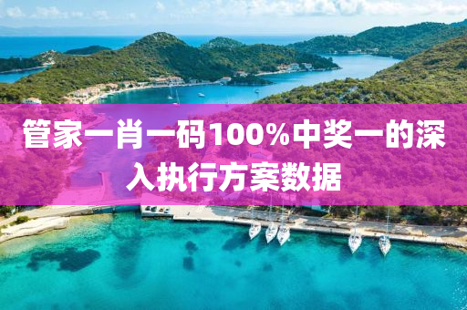 管家一肖一碼100%中獎一的深入執(zhí)行方案數(shù)據(jù)