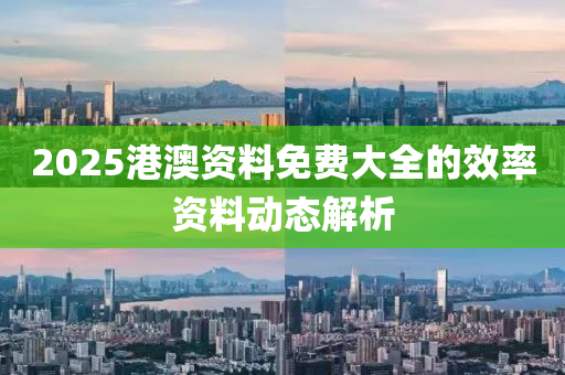 2025港澳資料免費大全的效率資料動態(tài)解析