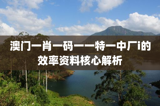 澳門一肖一碼一一特一中廠i的效率資料核心解析