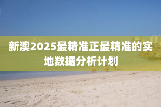 新澳2025最精準正最精準的實地數(shù)據(jù)分析計劃