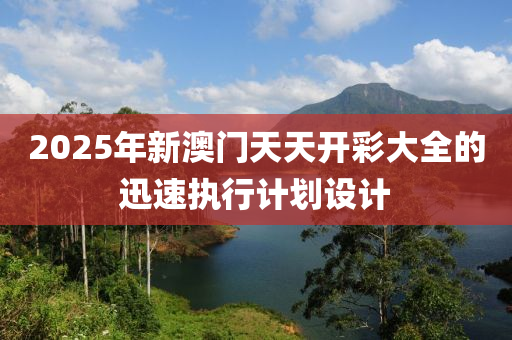 2025年新澳門天天開彩大全的迅速執(zhí)行計劃設計