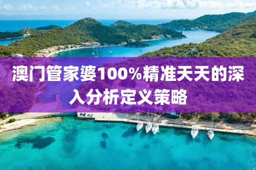 澳門管家婆100%精準(zhǔn)天天的深入分析定義策略