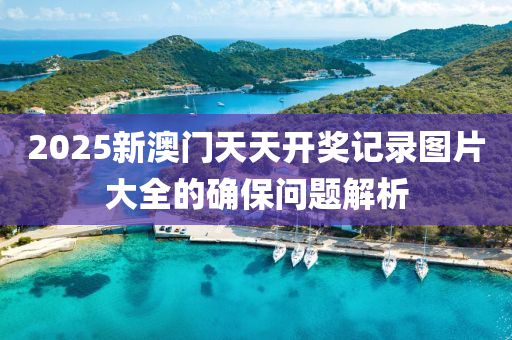 2025新澳門天天開獎記錄圖片大全的確保問題解析