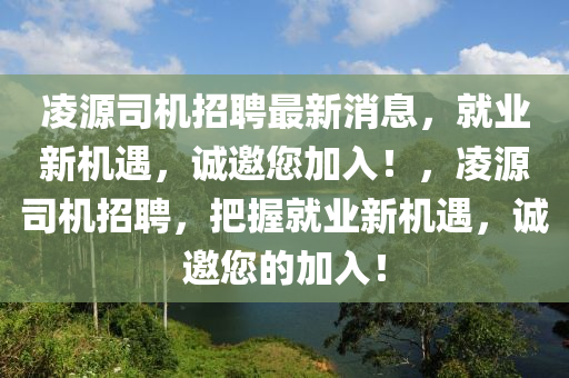 凌源司機(jī)招聘最新消息，就業(yè)新機(jī)遇，誠邀您加入！，凌源司機(jī)招聘，把握就業(yè)新機(jī)遇，誠邀您的加入！