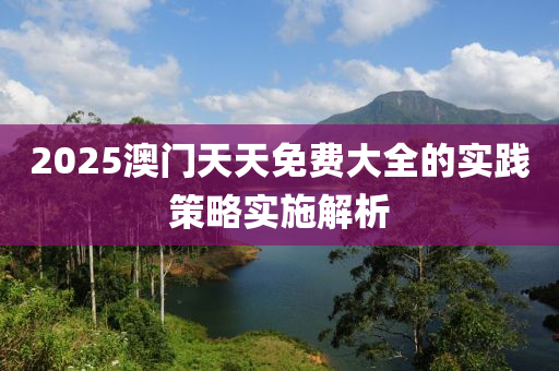 2025澳門天天免費(fèi)大全的實(shí)踐策略實(shí)施解析