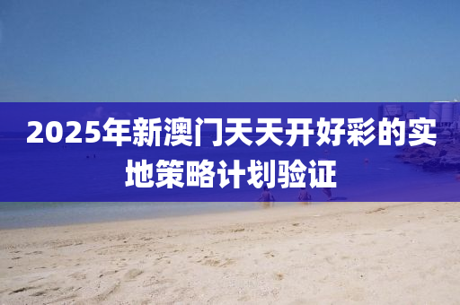 2025年新澳門(mén)天天開(kāi)好彩的實(shí)地策略計(jì)劃驗(yàn)證