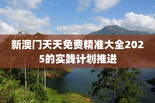 新澳門天天免費精準大全2025的實踐計劃推進