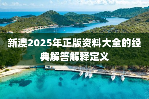 新澳2025年正版資料大全的經典解答解釋定義