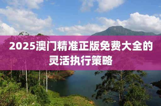 2025澳門精準(zhǔn)正版免費(fèi)大全的靈活執(zhí)行策略