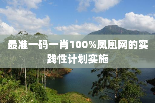 最準(zhǔn)一碼一肖100%鳳凰網(wǎng)的實踐性計劃實施