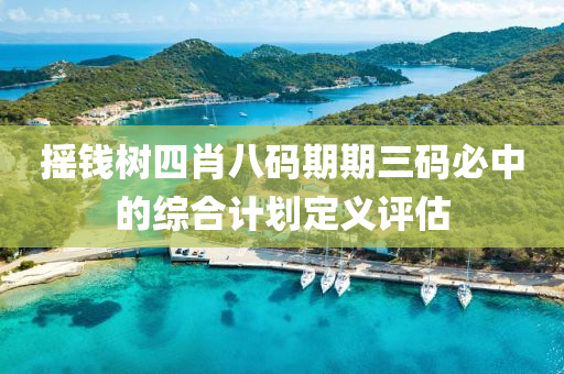 搖錢樹四肖八碼期期三碼必中的綜合計(jì)劃定義評(píng)估