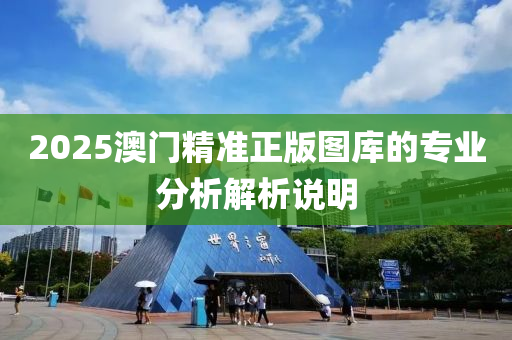 2025澳門精準(zhǔn)正版圖庫的專業(yè)分析解析說明