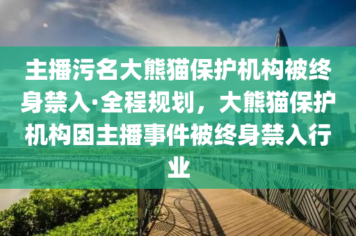 主播污名大熊貓保護機構被終身禁入·全程規(guī)劃，大熊貓保護機構因主播事件被終身禁入行業(yè)