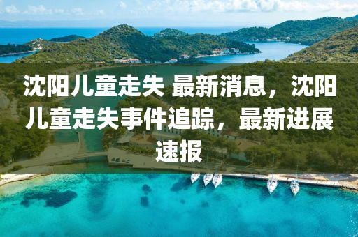 沈陽兒童走失 最新消息，沈陽兒童走失事件追蹤，最新進(jìn)展速報(bào)