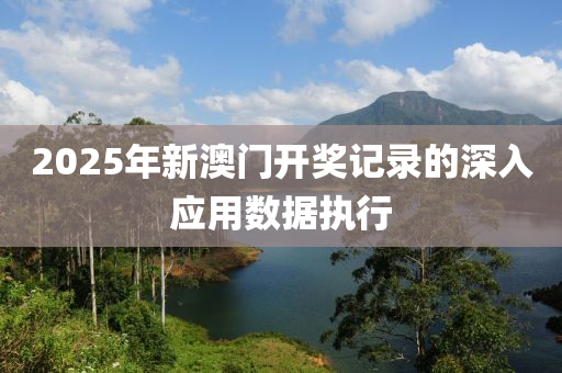 2025年新澳門開獎記錄的深入應用數(shù)據(jù)執(zhí)行