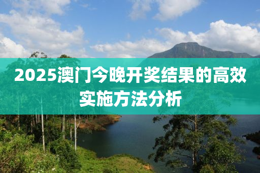 2025澳門(mén)今晚開(kāi)獎(jiǎng)結(jié)果的高效實(shí)施方法分析