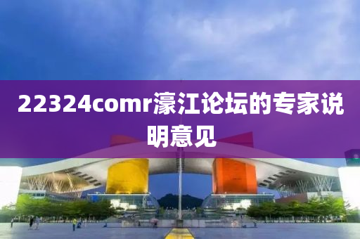 22324comr濠江論壇的專家說明意見