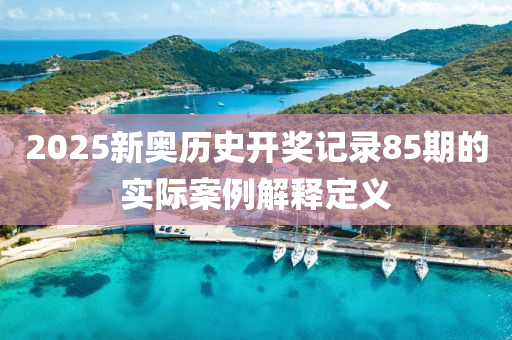 2025新奧歷史開獎記錄85期的實際案例解釋定義