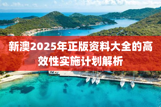 新澳2025年正版資料大全的高效性實施計劃解析