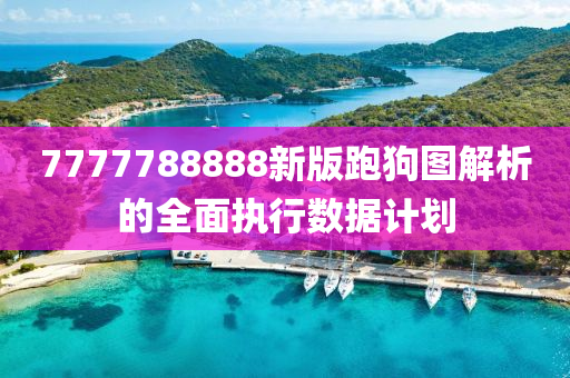 7777788888新版跑狗圖解析的全面執(zhí)行數(shù)據(jù)計劃