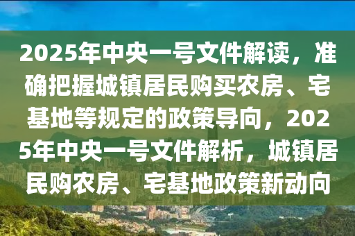 2025年中央一號文件解讀，準(zhǔn)確把握城鎮(zhèn)居民購買農(nóng)房、宅基地等規(guī)定的政策導(dǎo)向，2025年中央一號文件解析，城鎮(zhèn)居民購農(nóng)房、宅基地政策新動向