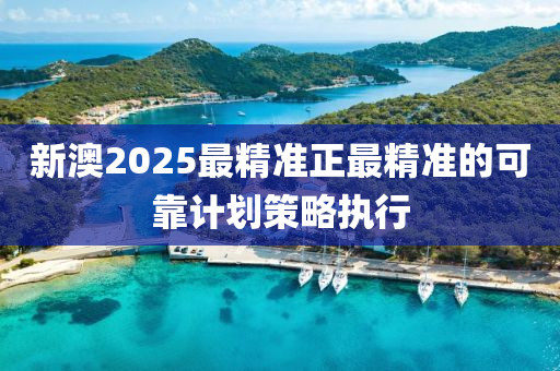 新澳2025最精準正最精準的可靠計劃策略執(zhí)行