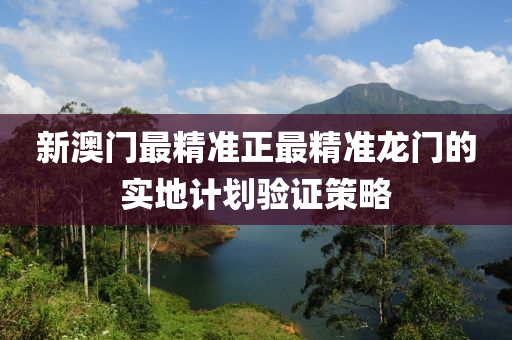 新澳門最精準正最精準龍門的實地計劃驗證策略