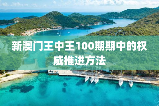 新澳門(mén)王中王100期期中的權(quán)威推進(jìn)方法