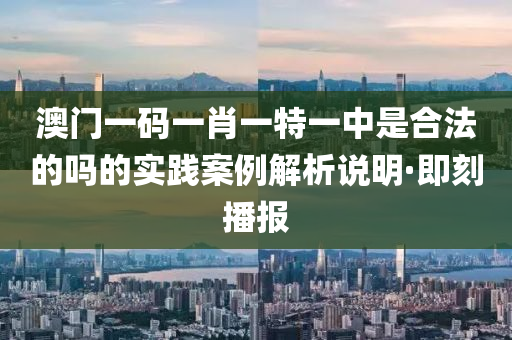 澳門一碼一肖一特一中是合法的嗎的實踐案例解析說明·即刻播報