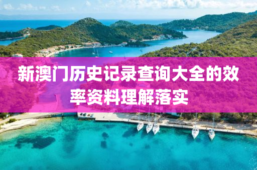 新澳門歷史記錄查詢大全的效率資料理解落實