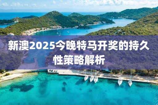 新澳2025今晚特馬開獎的持久性策略解析