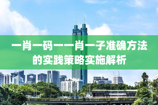 一肖一碼一一肖一子準確方法的實踐策略實施解析