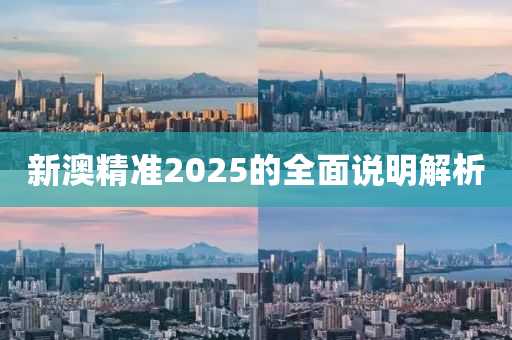 新澳精準2025的全面說明解析