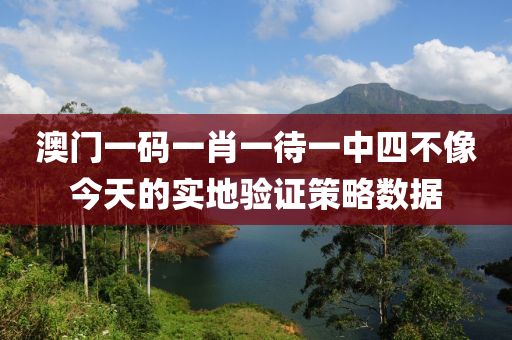 澳門一碼一肖一待一中四不像今天的實地驗證策略數(shù)據(jù)