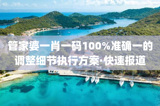 管家婆一肖一碼100%準(zhǔn)確一的調(diào)整細(xì)節(jié)執(zhí)行方案·快速報道