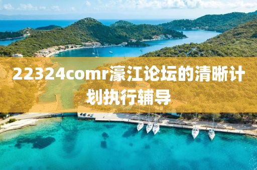 22324comr濠江論壇的清晰計(jì)劃執(zhí)行輔導(dǎo)