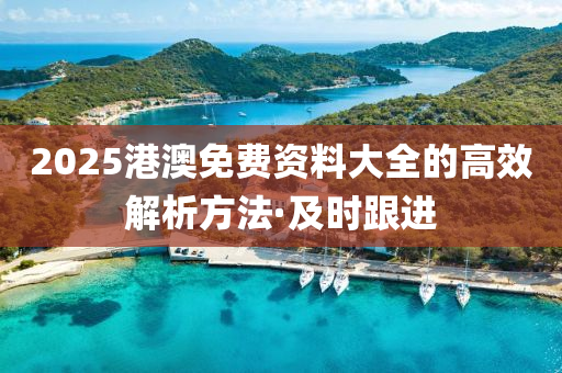 2025港澳免費資料大全的高效解析方法·及時跟進