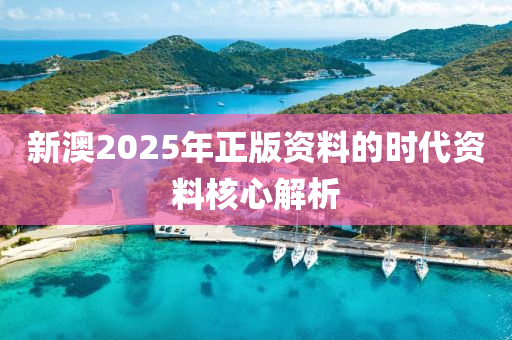 新澳2025年正版資料的時代資料核心解析