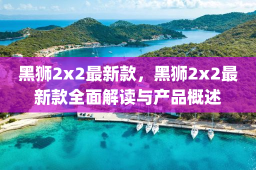 黑獅2x2最新款，黑獅2x2最新款全面解讀與產(chǎn)品概述