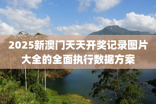 2025新澳門天天開獎記錄圖片大全的全面執(zhí)行數(shù)據(jù)方案