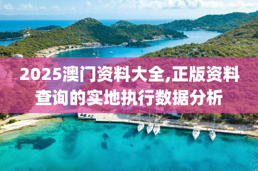 2025澳門資料大全,正版資料查詢的實(shí)地執(zhí)行數(shù)據(jù)分析