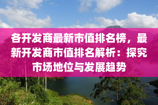 各開發(fā)商最新市值排名榜，最新開發(fā)商市值排名解析：探究市場地位與發(fā)展趨勢