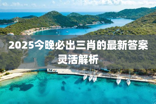 2025今晚必出三肖的最新答案靈活解析