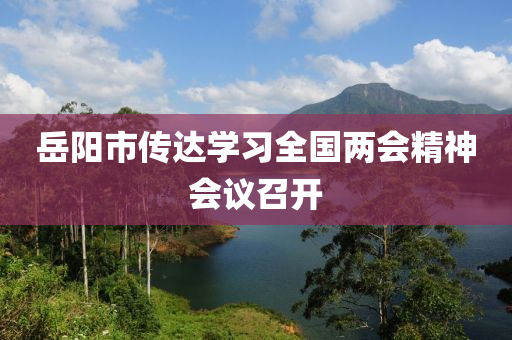 岳陽市傳達學習全國兩會精神會議召開